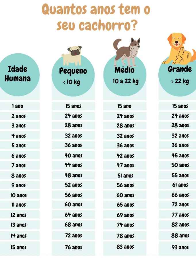 Tabela de para idade de cachorro