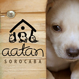 AATAN - Associação Abrigo Temporário de Animais Necessitados Tia Dirma | ONG/Protetor de adoção e doação de cachorros e gatos