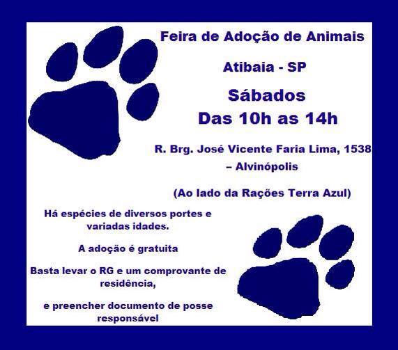 Feira e evento de adoção de cachorros e gatos - Encontre seu Novo Melhor Amigo: Adoção em Atibaia! em São Paulo - Atibaia