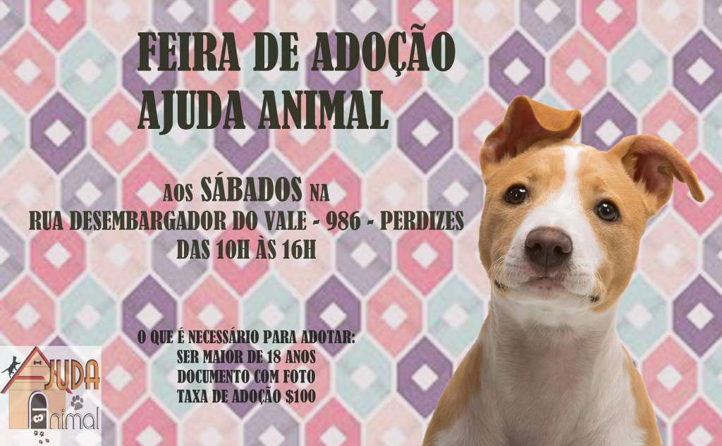 Feira e evento de adoção de cachorros e gatos - Feira de Adoção Ajuda Animal – Encontre seu novo amigo! em São Paulo - São Paulo