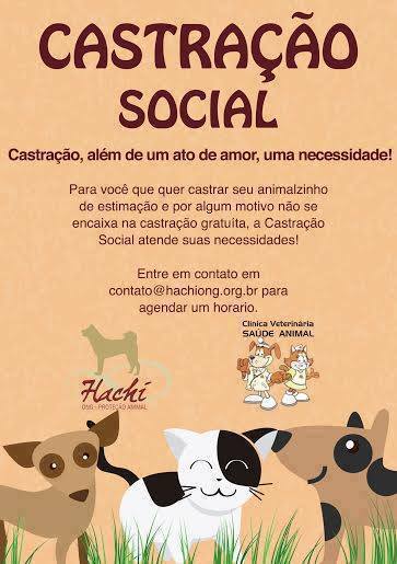 Feira e evento de adoção de cachorros e gatos - Feira de Adoção e Castração Social em Blumenau: Ame e Cuide! em Santa Catarina - Blumenau