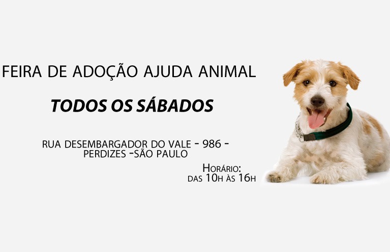 Feira e evento de adoção de cachorros e gatos - Feira de Adoção AjudAnimal: Encontre Seu Novo Amigo em SP em São Paulo - São Paulo