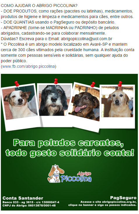 Feira e evento de adoção de cachorros e gatos - Feira de Adoção Piccolina: Encontre seu Novo Amigo em Avaré! em São Paulo - Avaré