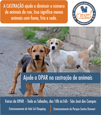 Feira e evento de adoção de cachorros e gatos - Feira de Adoção e Apoio aos Animais de Rua em São José dos Campos em São Paulo - São José dos Campos