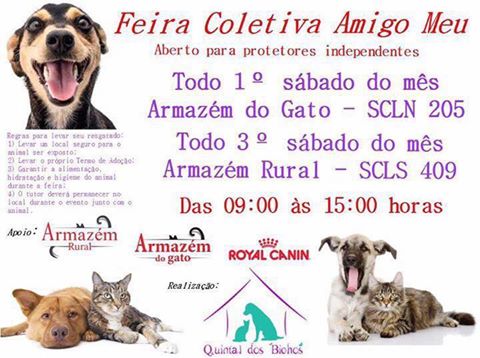 Eventos de adoção de cachorros e gatos - Amor e Cuidado nas Patinhas do Coração - Feira de Adoção em Brasília em DF - Brasília