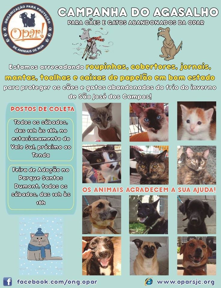 Feira e evento de adoção de cachorros e gatos - Adote um Amigo: Evento de Adoção de Animais em São José dos Campos em São Paulo - São José dos Campos