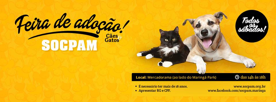 Feira e evento de adoção de cachorros e gatos - Amor e Companhia te Esperam na Feira de Adoção SOCMPAM em Paraná - Maringá