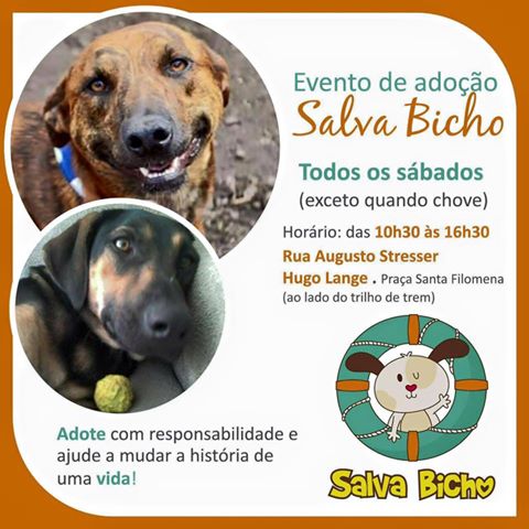 Feira e evento de adoção de cachorros e gatos - Encontre seu Melhor Amigo no Evento Salva Bicho em Curitiba! em Paraná - Curitiba