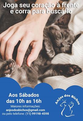 Feira e evento de adoção de cachorros e gatos - Joga seu coração à frente e corre para buscá-lo em Mairinque! em São Paulo - Mairinque