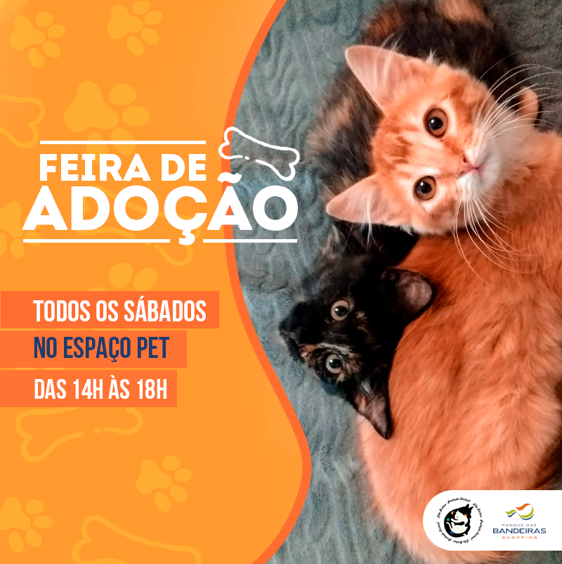 Feira e evento de adoção de cachorros e gatos - Feira de Adoção em Campinas: Encontre seu novo amigo! em São Paulo - Campinas