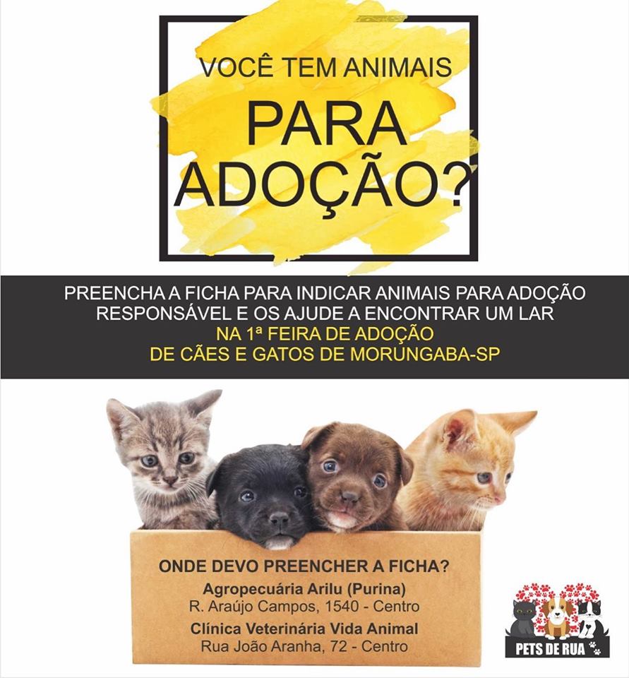 Feira e evento de adoção de cachorros e gatos - Amor Incondicional Espera por Você na Feira de Adoção em Morungaba! em São Paulo - Morungaba