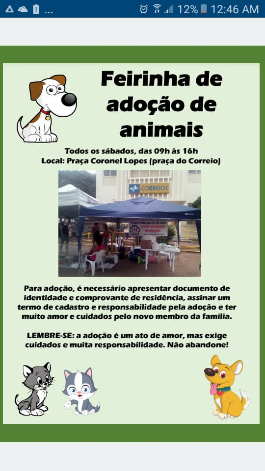 Eventos de adoção de cachorros e gatos - Encontre seu Melhor Amigo na Feirinha de Adoção de São Vicente! em SP - São Vicente