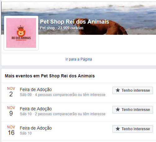 Feira e evento de adoção de cachorros e gatos - Feira de Adoção de Animais em Curitiba - Transforme Seu Lar! em Paraná - Curitiba