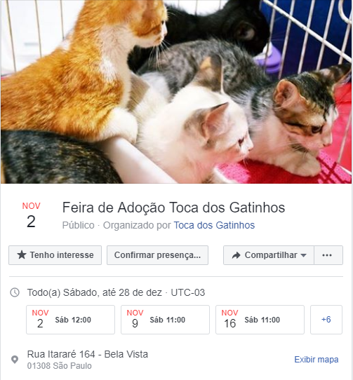 Feira e evento de adoção de cachorros e gatos - Encontro felino esperando por você em Curitiba! em Paraná - Curitiba