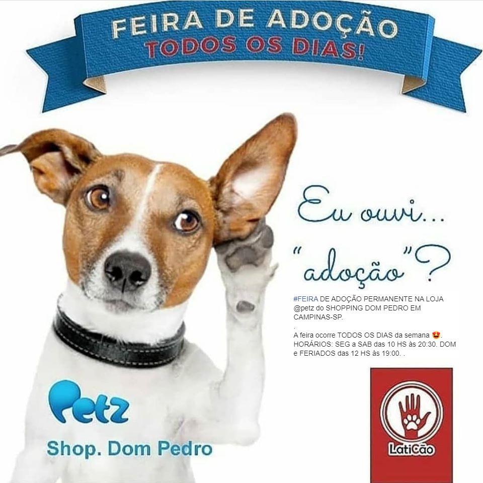Feira e evento de adoção de cachorros e gatos - Feira de Adoção de Animais: Encontre Seu Novo Melhor Amigo! em São Paulo - Campinas