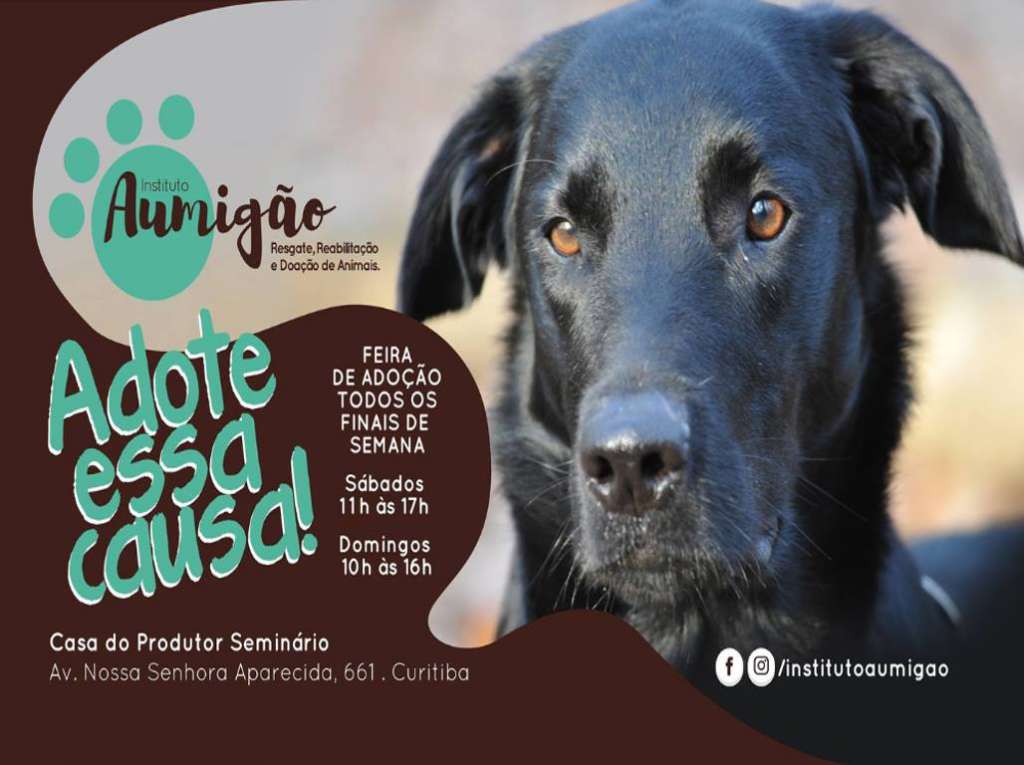 Eventos de adoção de cachorros e gatos - Adote um Amigo: Encontro de Corações em Curitiba! em PR - Curitiba