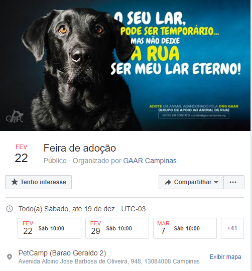 Feira e evento de adoção de cachorros e gatos - Encontre seu Novo Amigo na Feira de Adoção Campinas! em São Paulo - Campinas