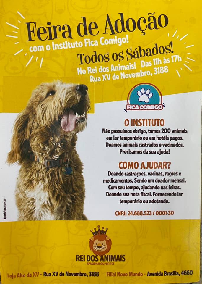 Feira e evento de adoção de cachorros e gatos - Feira de Adoção Fica Comigo: Encontre Seu Novo Amigo! em Paraná - Curitiba