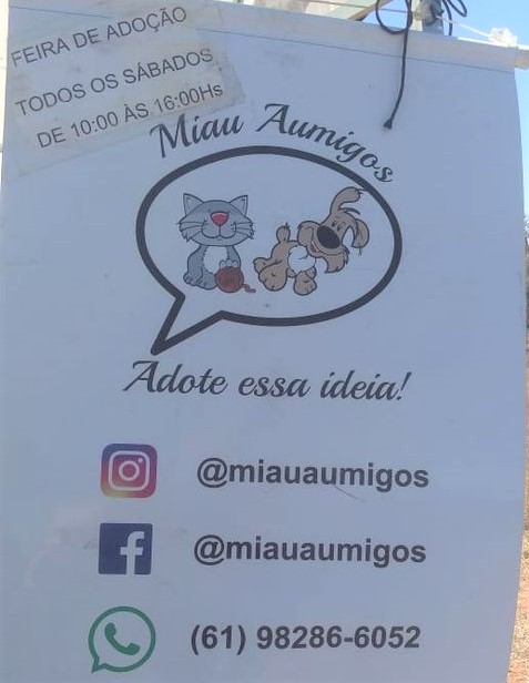 Feira e evento de adoção de cachorros e gatos - Feira de Adoção 'Miau Amigos' - Encontre seu novo companheiro em São Paulo - Panorama