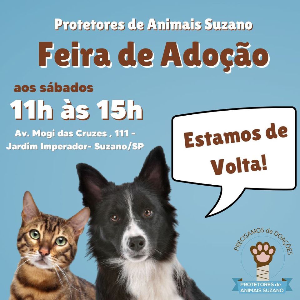 Feira e evento de adoção de cachorros e gatos - Feira de Adoção de Animais em Suzano - Encontre seu Novo Amigo! em São Paulo - Suzano