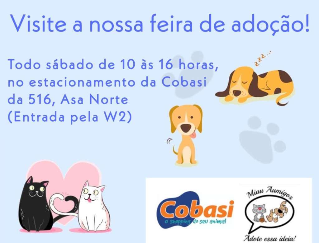 Feira e evento de adoção de cachorros e gatos - Encontre o Amor de Quatro Patas na Feira de Adoção em Brasília! em Distrito Federal - Brasília