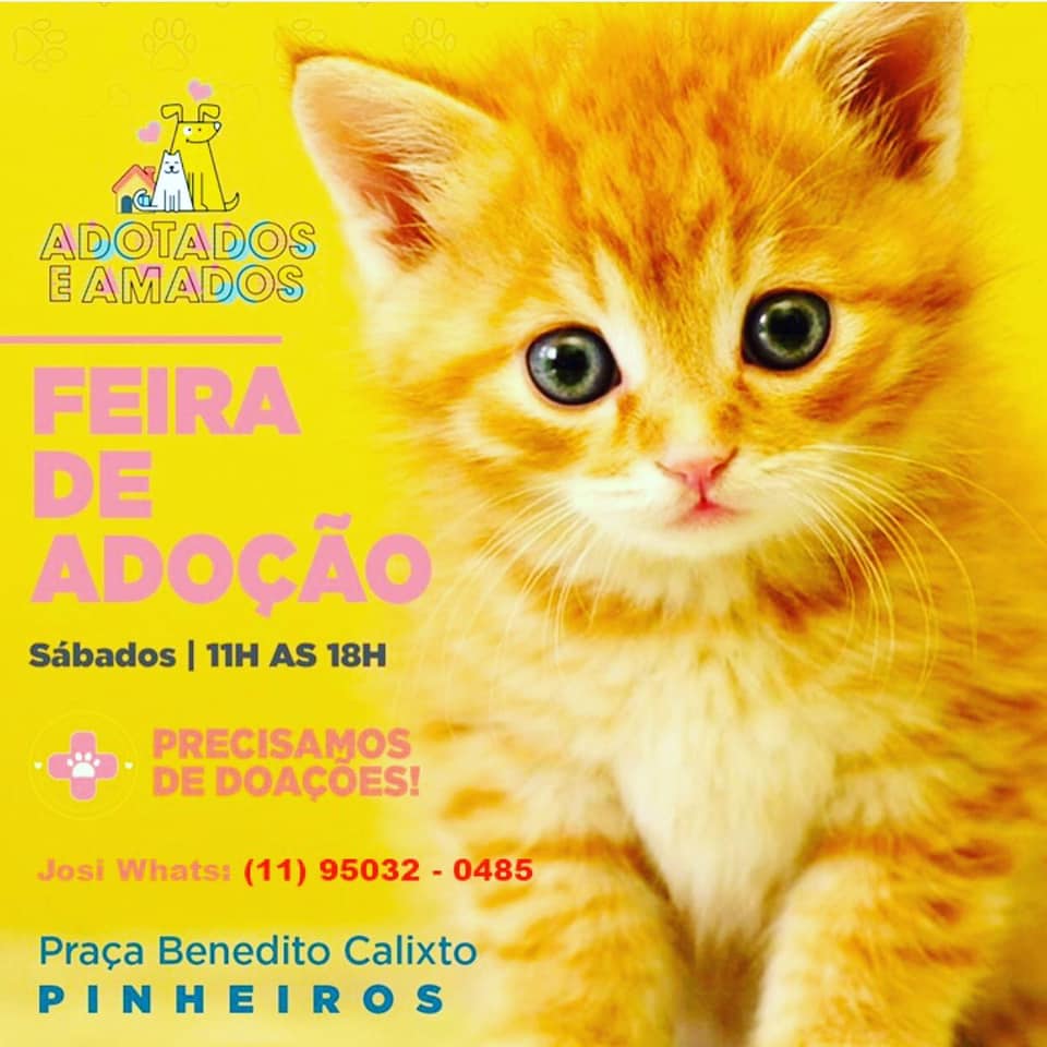 Feira e evento de adoção de cachorros e gatos - Feira de Adoção de Animais em SP: Encontre seu Novo Melhor Amigo! em São Paulo - São Paulo
