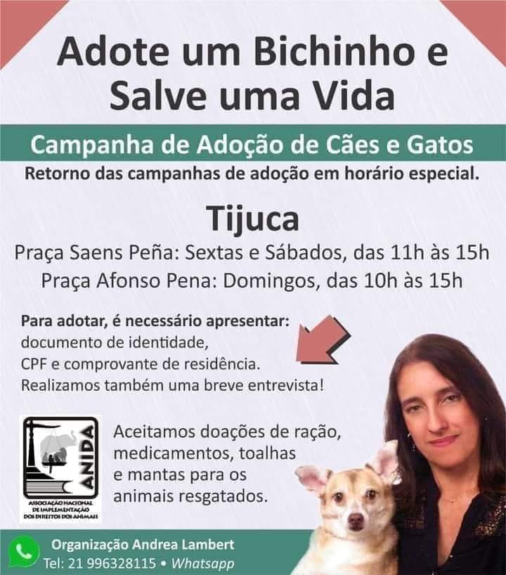 Feira e evento de adoção de cachorros e gatos - Feira de Adoção de Pets na Tijuca - Encontre Seu Novo Amigo! em Rio de Janeiro - Rio de Janeiro
