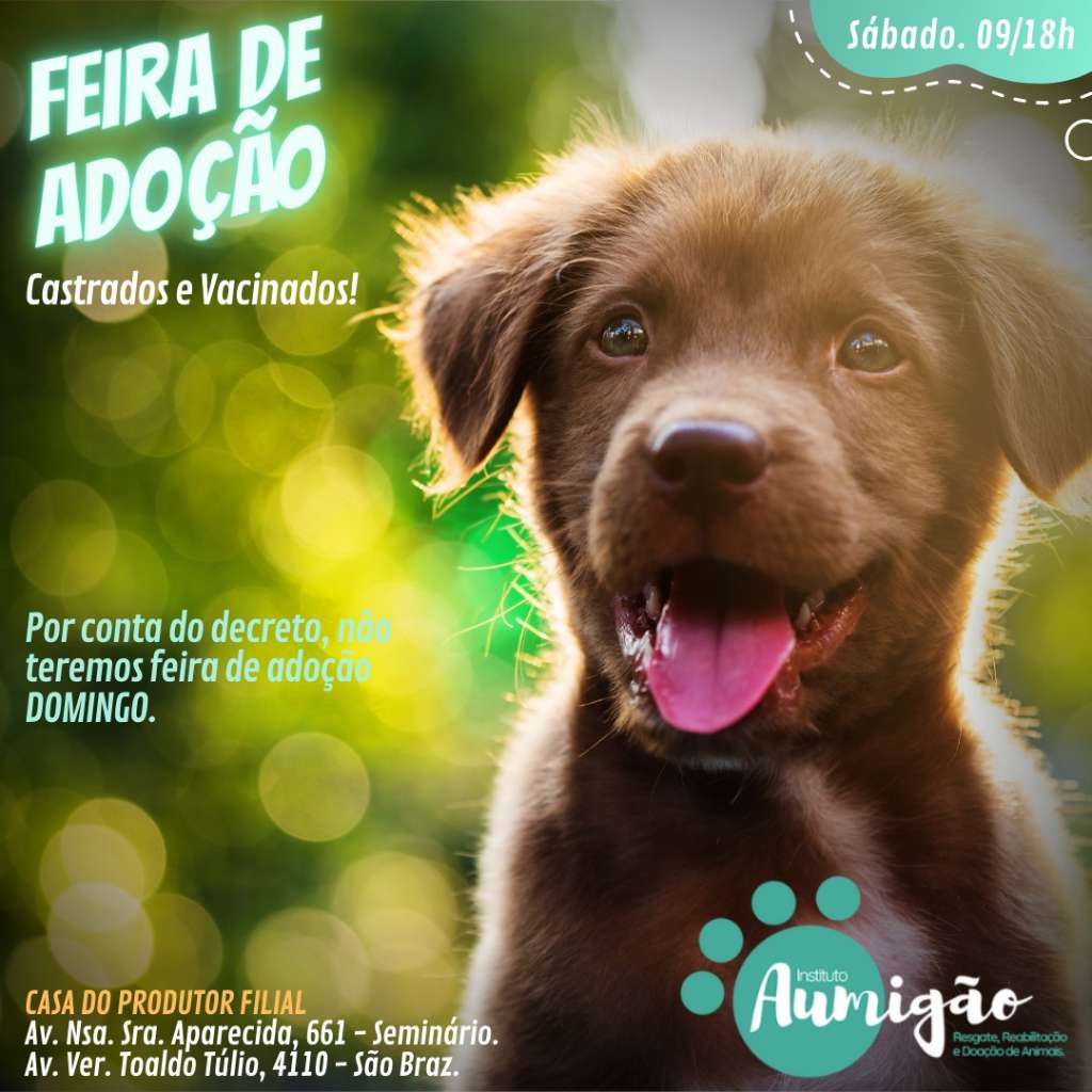 Feira e evento de adoção de cachorros e gatos - Feira de Adoção: Encontre seu Novo Melhor Amigo em Curitiba! em Paraná - Curitiba