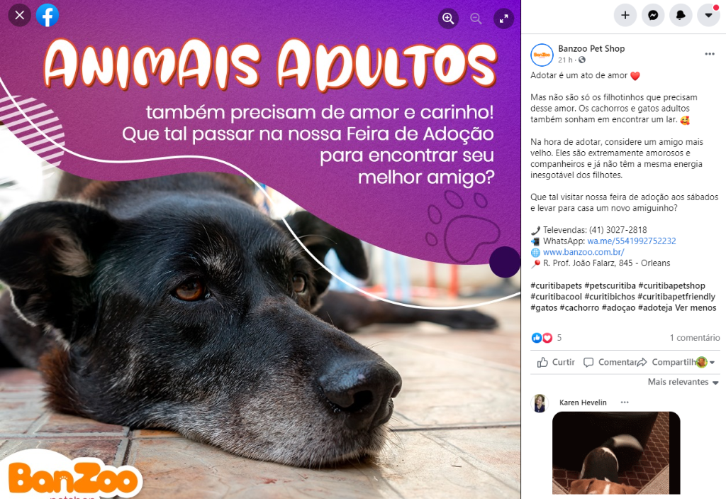 Feira e evento de adoção de cachorros e gatos - Feira de Adoção de Animais Adultos em Curitiba - Encontre seu Novo Amigo! em Paraná - Curitiba