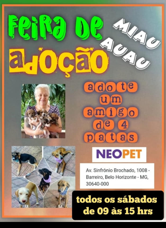 Feira e evento de adoção de cachorros e gatos - Feira de Adoção em BH: Encontre o Seu Novo Melhor Amigo! em Minas Gerais - Belo Horizonte