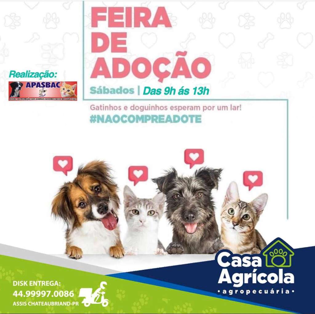 Feira e evento de adoção de cachorros e gatos - Feira de Adoção em Assis Chateaubriand: Encontre seu Novo Amigo! em Paraná - Assis Chateaubriand