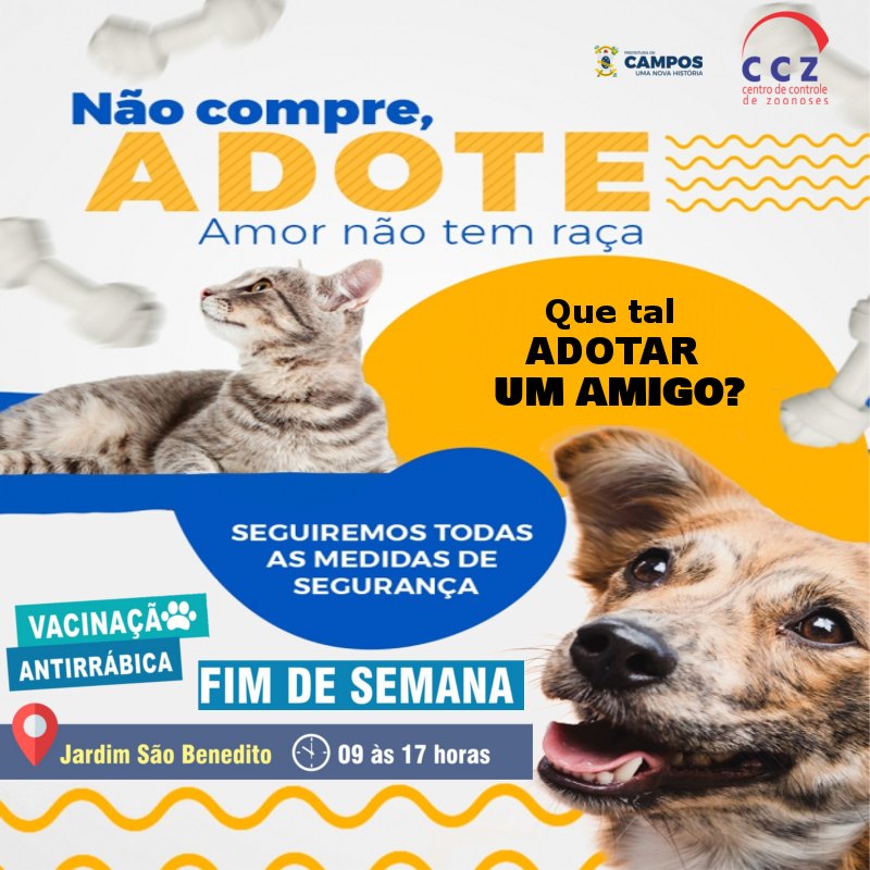 Eventos de adoção de cachorros e gatos - Feira de Adoção Pet: Encontre seu Novo Melhor Amigo em Campos! em RJ - Campos dos Goytacazes