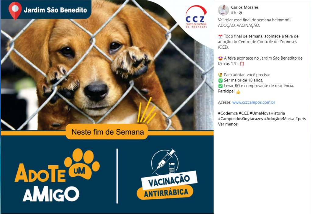 Feira e evento de adoção de cachorros e gatos - Feira de Adoção de Animais em Campos dos Goytacazes - Adote um Amigo! em Rio de Janeiro - Campos dos Goytacazes