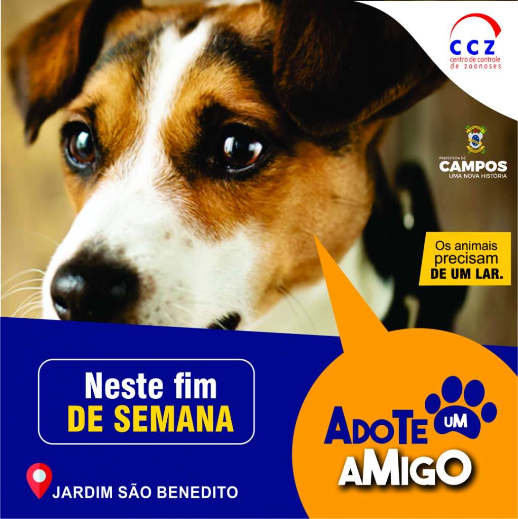 Feira e evento de adoção de cachorros e gatos - Feira de Adoção em Campos: Encontre seu Novo Melhor Amigo! em Rio de Janeiro - Campos dos Goytacazes