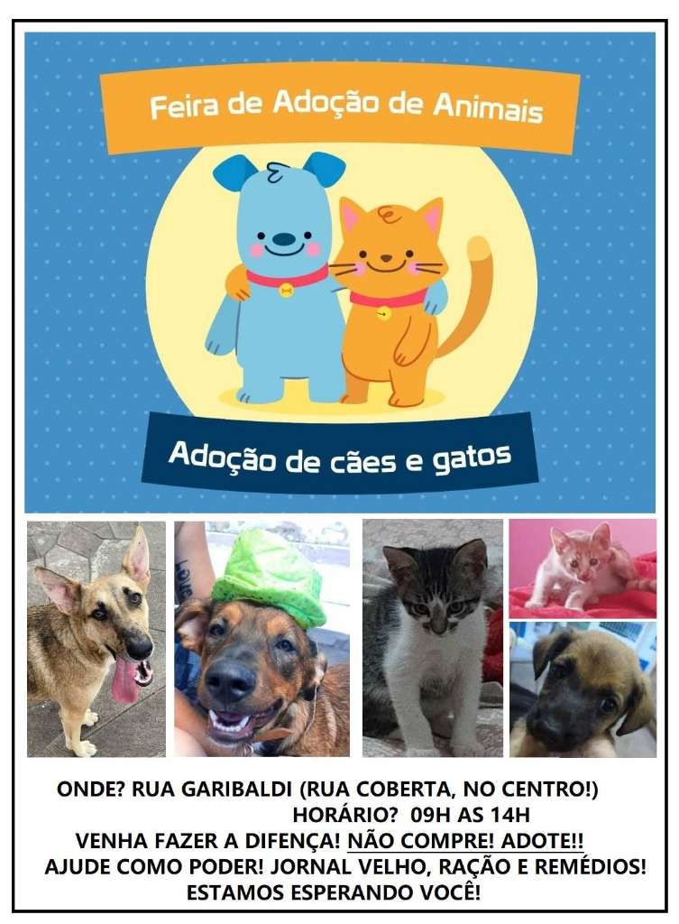 Feira e evento de adoção de cachorros e gatos - Feira de Adoção de Animais em Esteio: Encontre seu Novo Amigo! em Rio Grande do Sul - Esteio