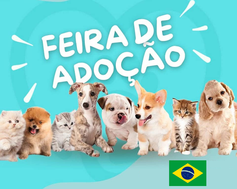 Eventos de adoção de cachorros e gatos - Feira Nacional de Adoção de Animais – Encontre seu Novo Amigo! em TO - Miracema do Tocantins