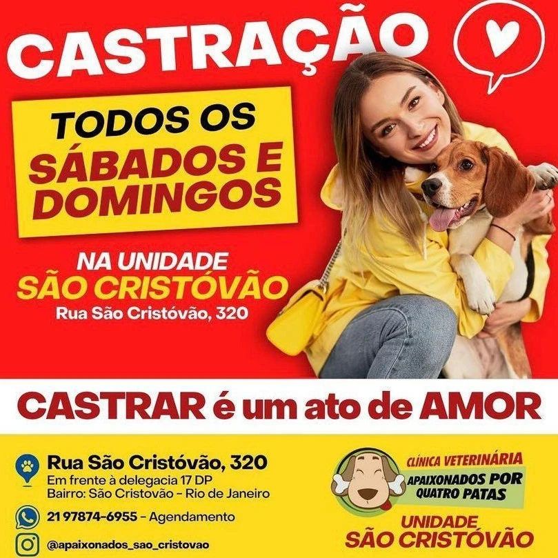 Feira e evento de adoção de cachorros e gatos - Encontre seu Melhor Amigo no Evento de Adoção Animal no RJ! em Rio de Janeiro - Rio de Janeiro