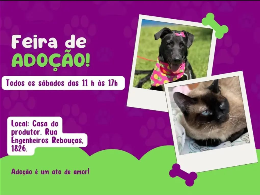 Feira e evento de adoção de cachorros e gatos - Encontre seu Melhor Amigo em Curitiba - Feira de Adoção Anual! em Paraná - Curitiba