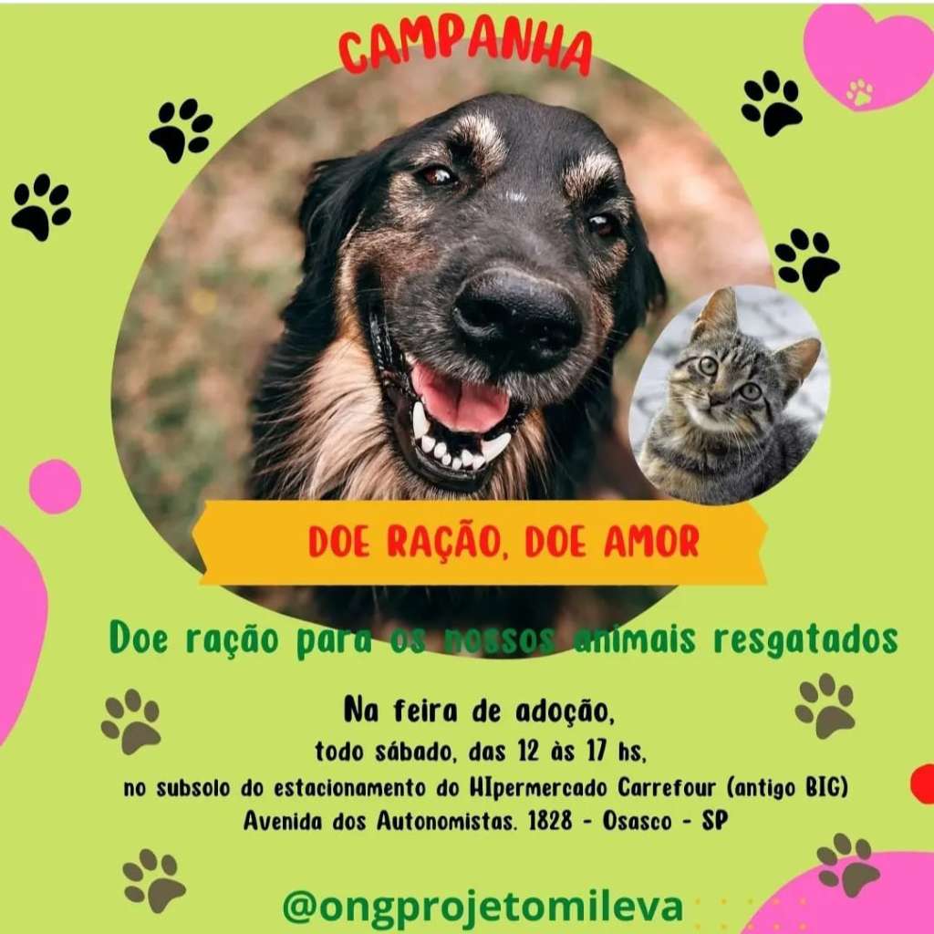 Feira e evento de adoção de cachorros e gatos - Feira de Adoção de Animais em Osasco: Carinho a Cada Laço Formado! em São Paulo - Osasco