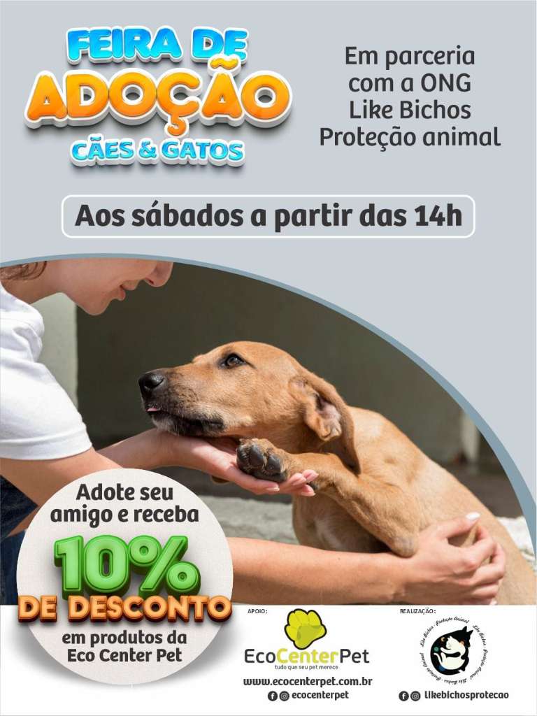 Feira e evento de adoção de cachorros e gatos - Encontre seu Novo Melhor Amigo na Feira de Adoção em Campinas! em São Paulo - Campinas