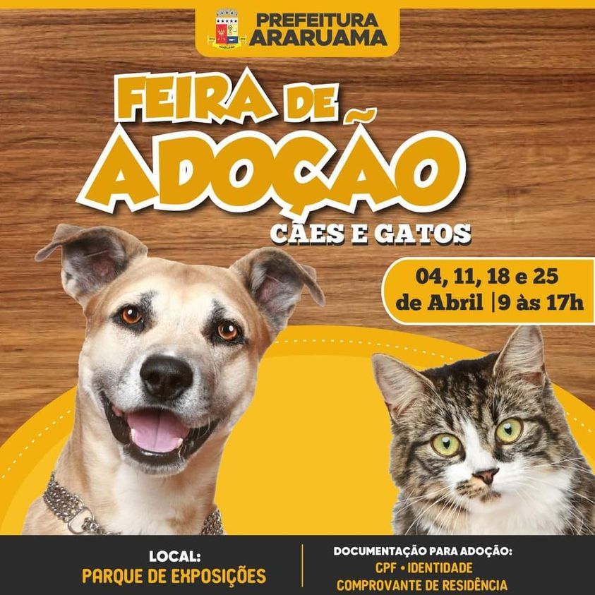 Feira e evento de adoção de cachorros e gatos - Feira de Adoção em Araruama: Encontre seu Novo Amigo! em Rio de Janeiro - Araruama