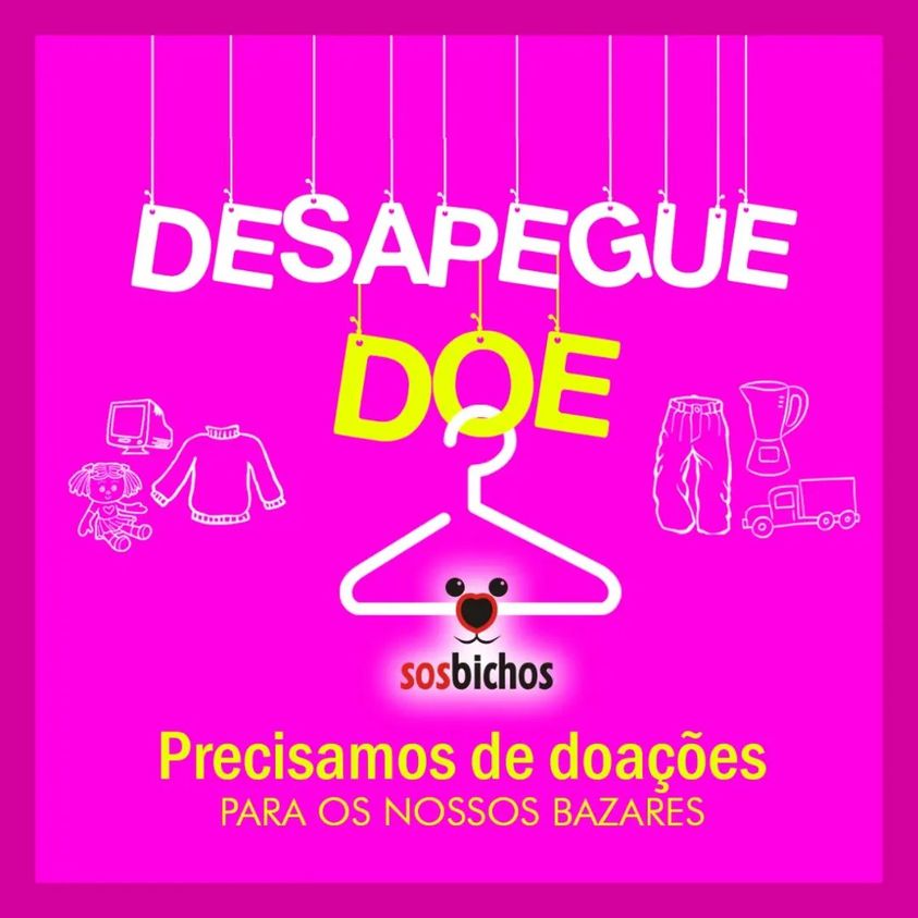 Feira e evento de adoção de cachorros e gatos - Feira de Adoção e Solidariedade Animal em Ponta Grossa em Paraná - Ponta Grossa