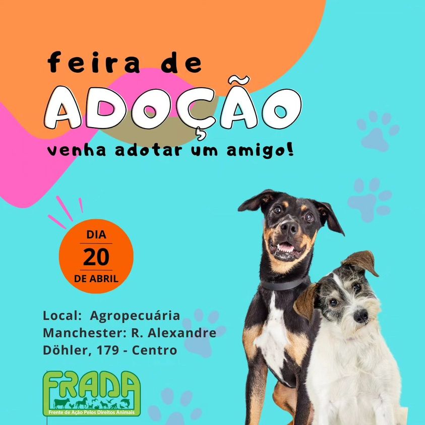 Feira e evento de adoção de cachorros e gatos - Feira de Adoção em Joinville: Encontre seu Novo Melhor Amigo! em Santa Catarina - Joinville