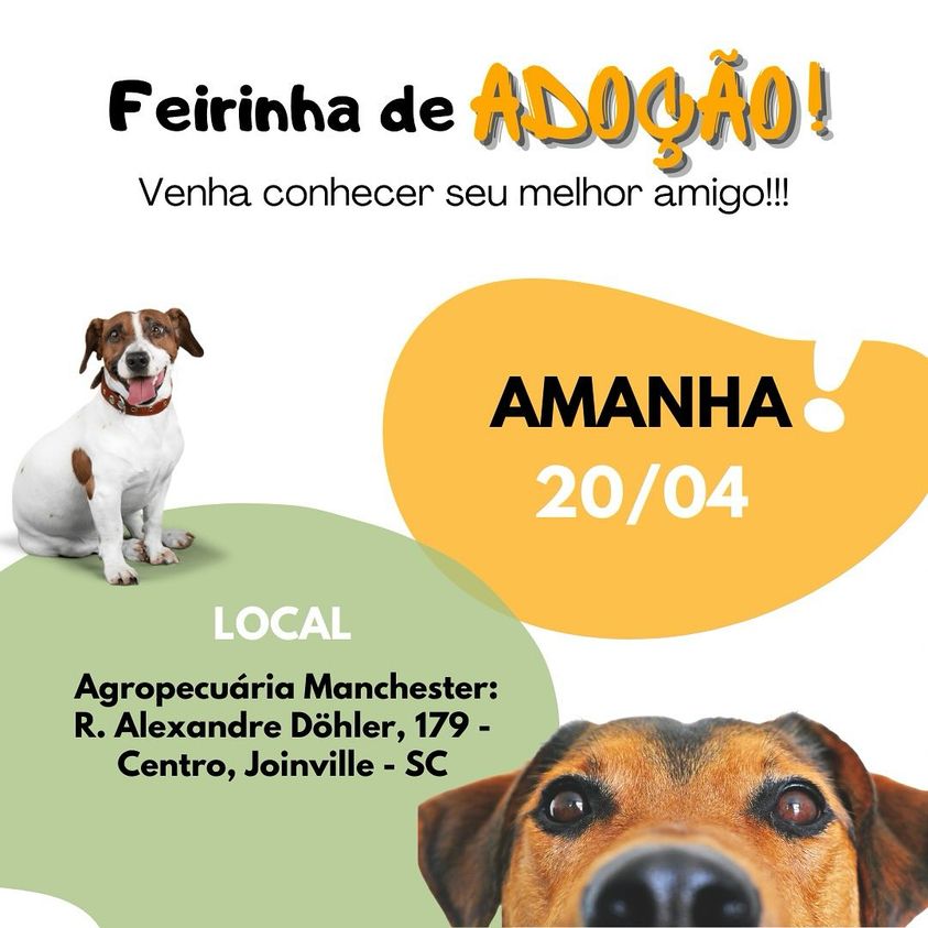 Feira e evento de adoção de cachorros e gatos - Feirinha de Adoção em Joinville: Encontre seu Novo Melhor Amigo! em Santa Catarina - Joinville