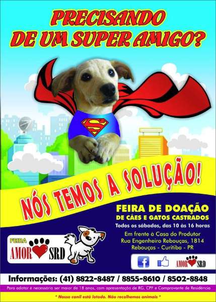 Feira e evento de adoção de cachorros e gatos - Encontre Seu Super Companheiro na Feira de Adoção em Curitiba! em Paraná - Curitiba