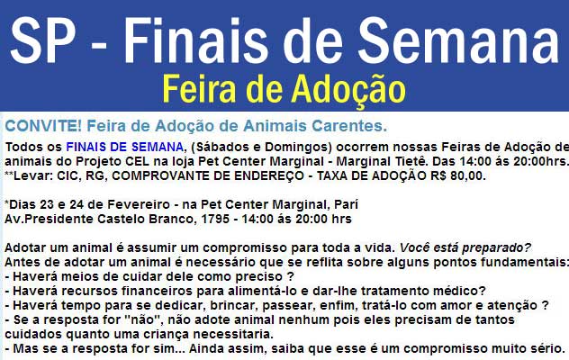 Feira e evento de adoção de cachorros e gatos - Famílias Novas Esperando por Você na Feira de Adoção de SP! em São Paulo - São Paulo