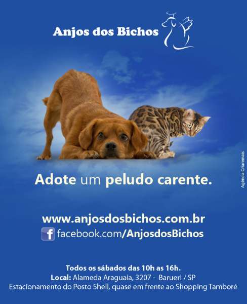 Feira e evento de adoção de cachorros e gatos - Feira de Adoção Anjos dos Bichos: Encontre seu Novo Melhor Amigo! em São Paulo - São Paulo