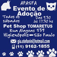 Feira e evento de adoção de cachorros e gatos - Adote um Amigo Peludo: Encontre seu novo companheiro em SP! em São Paulo - São Paulo