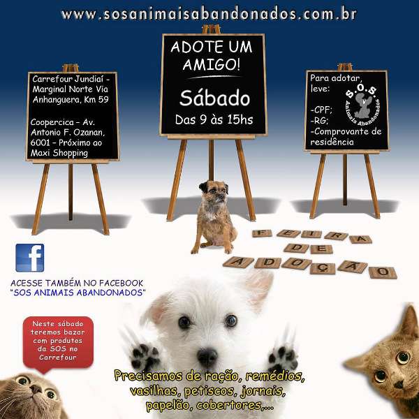 Feira e evento de adoção de cachorros e gatos - Feira de Adoção em Jundiaí: Encontre Seu Novo Melhor Amigo! em São Paulo - Jundiaí