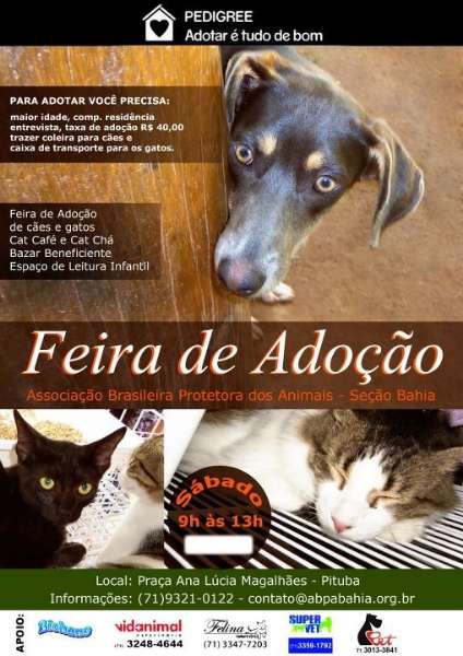 Feira e evento de adoção de cachorros e gatos - Encontre seu Novo Melhor Amigo na Feira de Adoção em Salvador em Bahia - Salvador